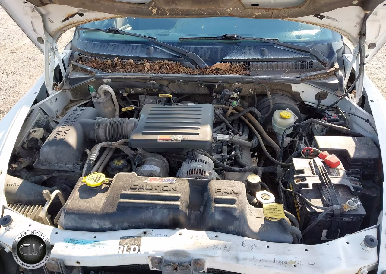 2000 Dodge Dakota Slt-Sport VIN:1B7GL22N3YS677845 - 10