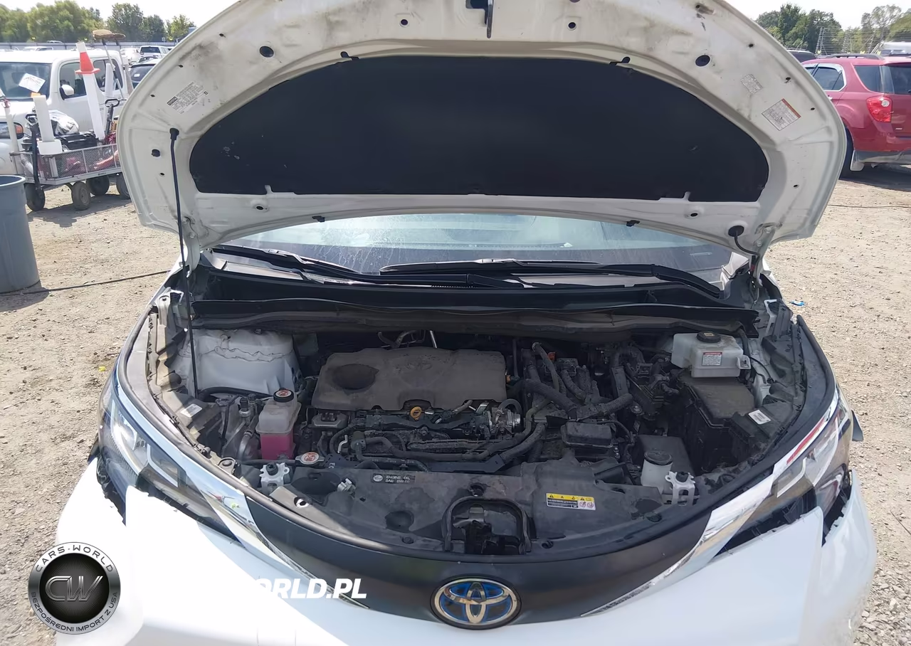 2022 Toyota Sienna Xle VIN:5TDYRKECXNS118326 - 10