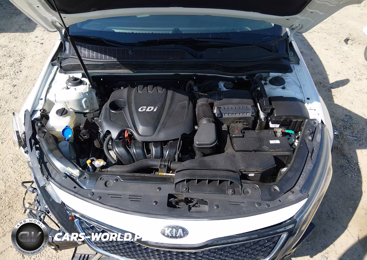 2014 Kia Optima Lx VIN:KNAGM4A74E5472988 - 10