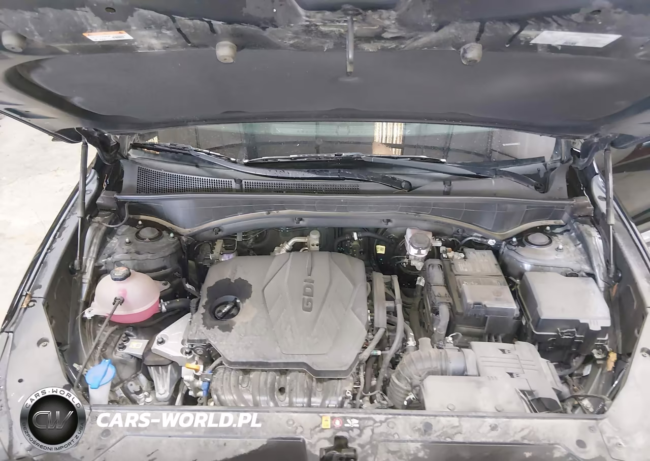 2023 Hyundai Santa Fe Sel VIN:5NMS3DAJXPH595514 - 10