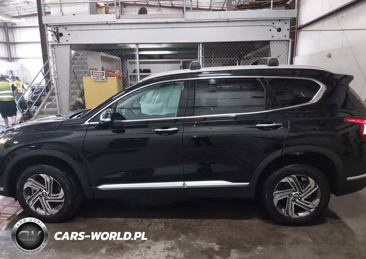 2023 Hyundai Santa Fe Sel VIN:5NMS3DAJXPH595514 - 14