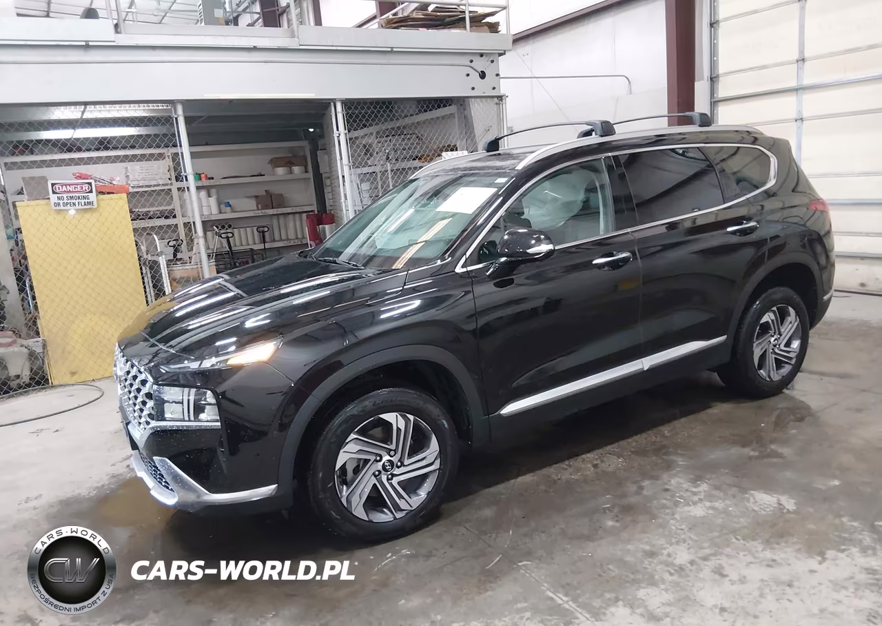 2023 Hyundai Santa Fe Sel VIN:5NMS3DAJXPH595514 - 2