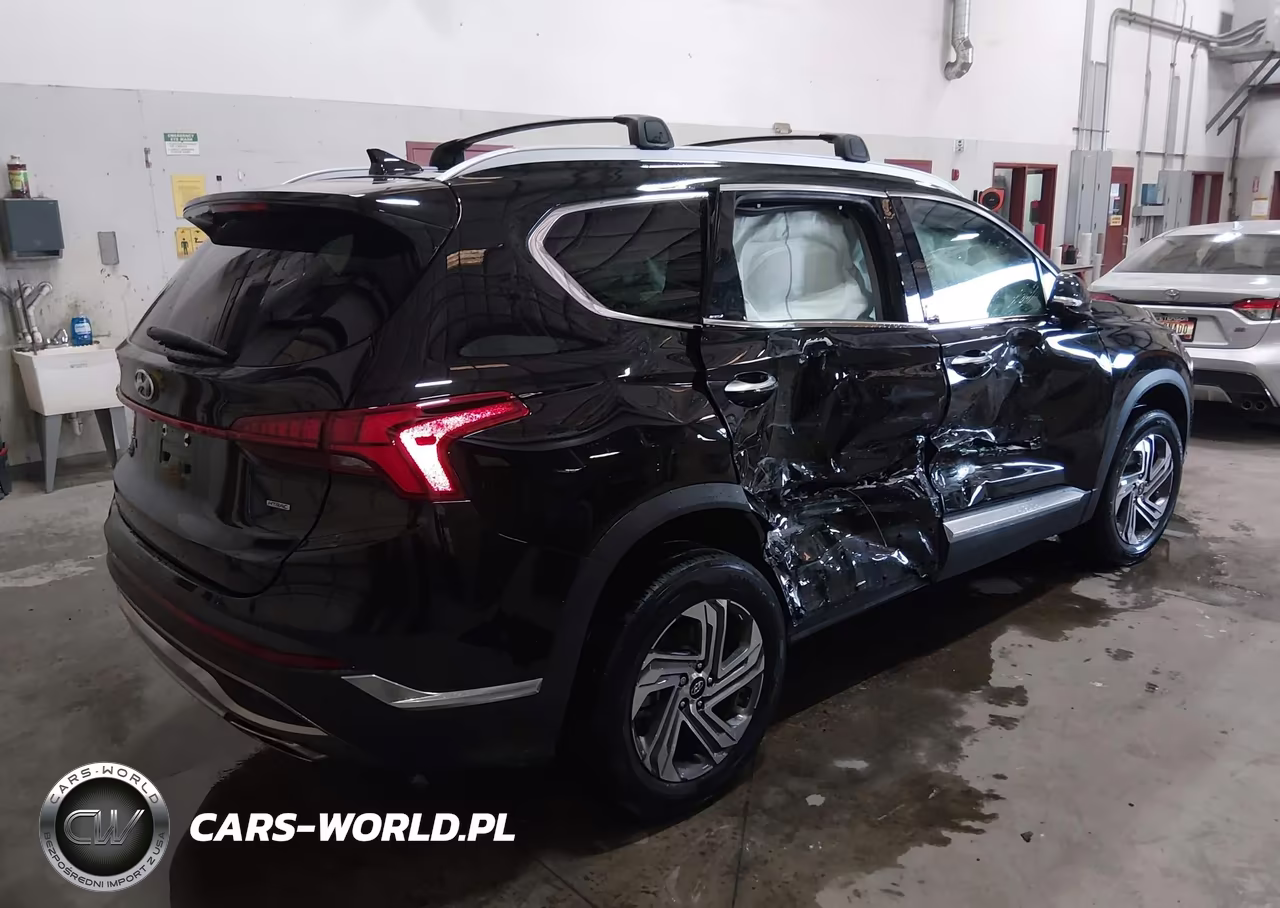 2023 Hyundai Santa Fe Sel VIN:5NMS3DAJXPH595514 - 4