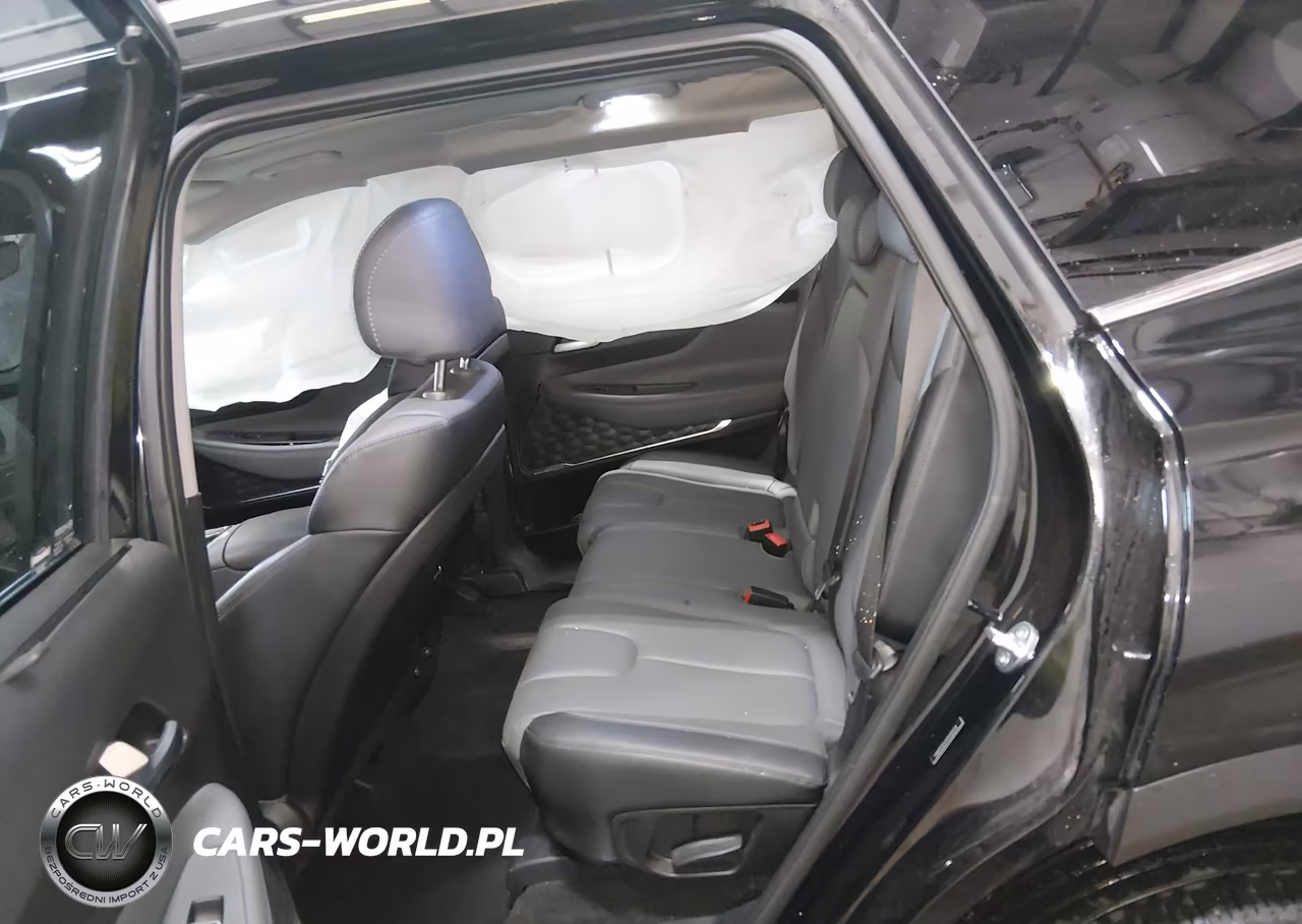 2023 Hyundai Santa Fe Sel VIN:5NMS3DAJXPH595514 - 8