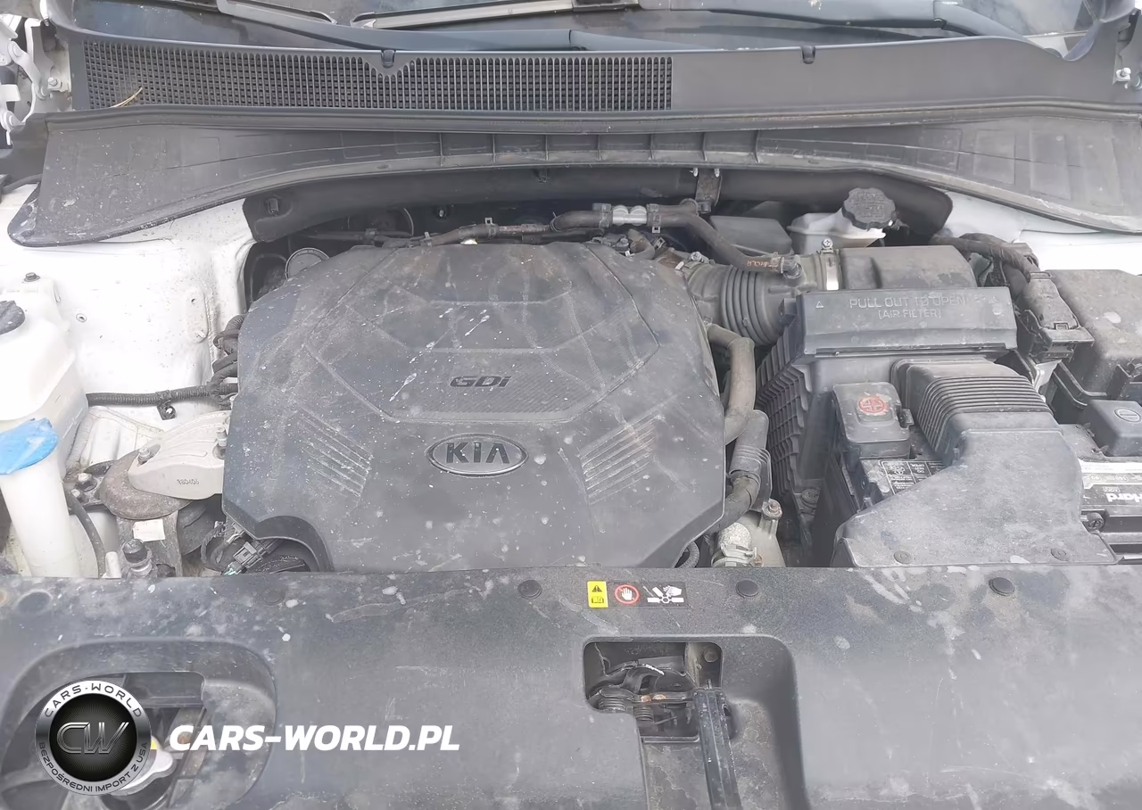 2019 Kia Sorento 3.3L Lx VIN:5XYPGDA51KG485886 - 10