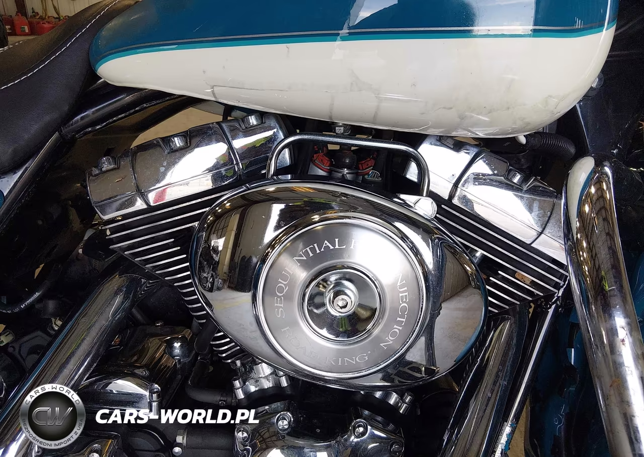 2001 Harley-Davidson Flhrci VIN:1HD1FRW111Y619828 - 9