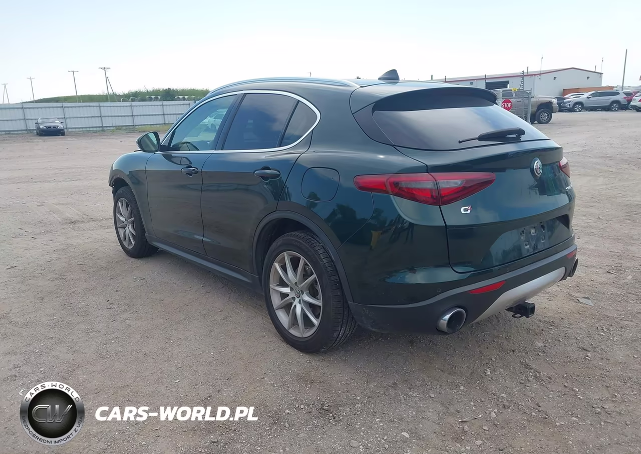 2019 Alfa Romeo Stelvio Ti Lusso Awd VIN:ZASPAKBN6K7C33284 - 3