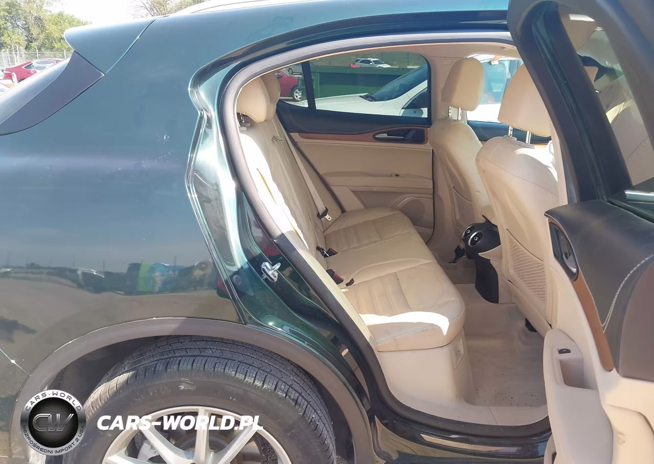 2019 Alfa Romeo Stelvio Ti Lusso Awd VIN:ZASPAKBN6K7C33284 - 8