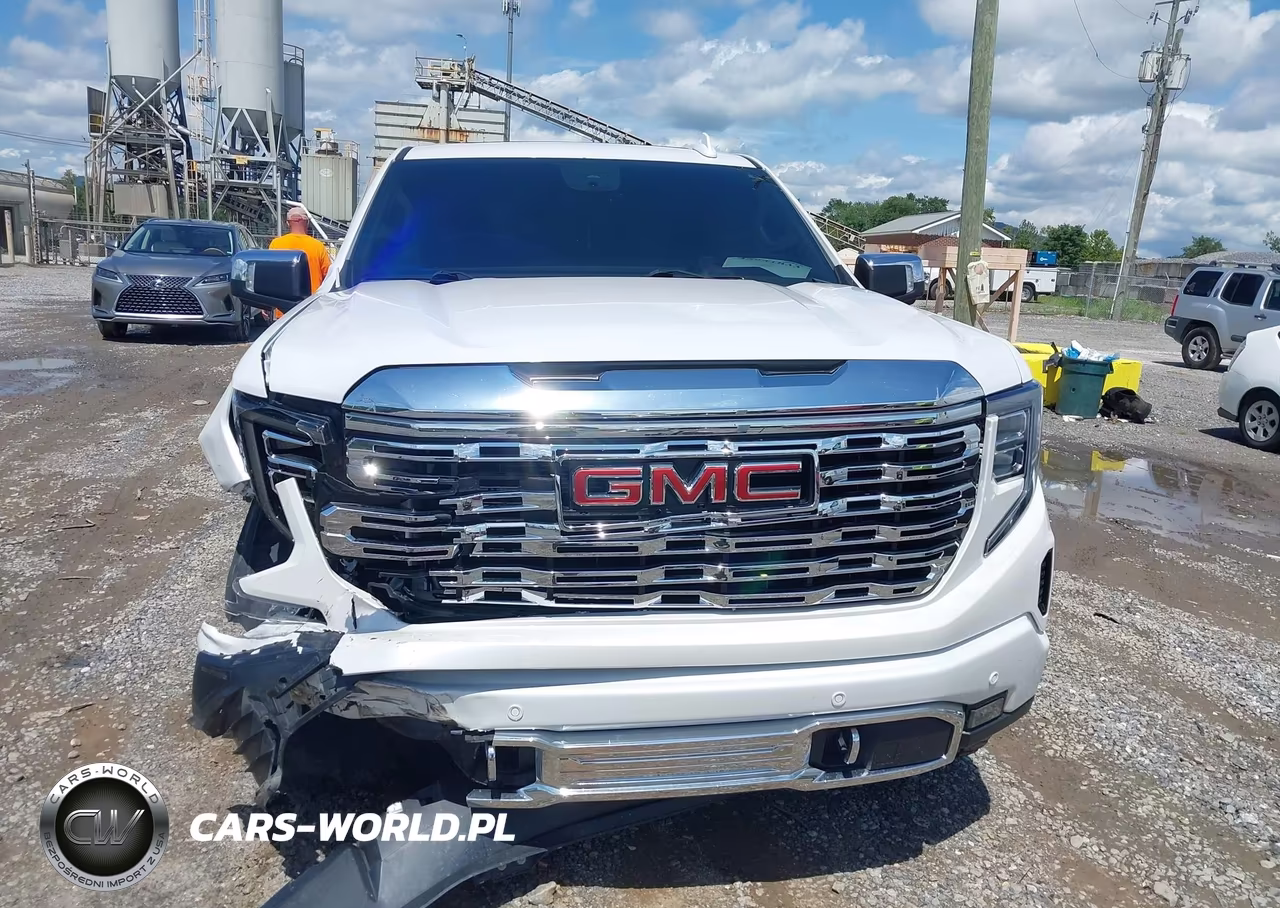 2023 GMC Sierra 1500 4Wd Short Box Denali VIN:3GTUUGED1PG145323 - 12