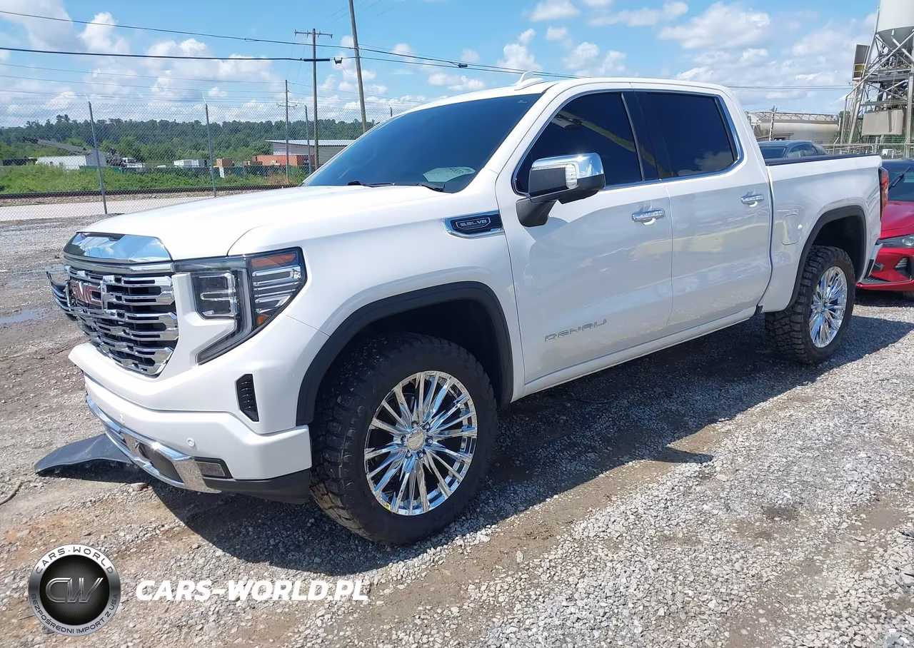 2023 GMC Sierra 1500 4Wd Short Box Denali VIN:3GTUUGED1PG145323 - 2