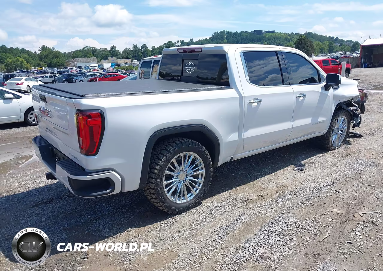 2023 GMC Sierra 1500 4Wd Short Box Denali VIN:3GTUUGED1PG145323 - 4