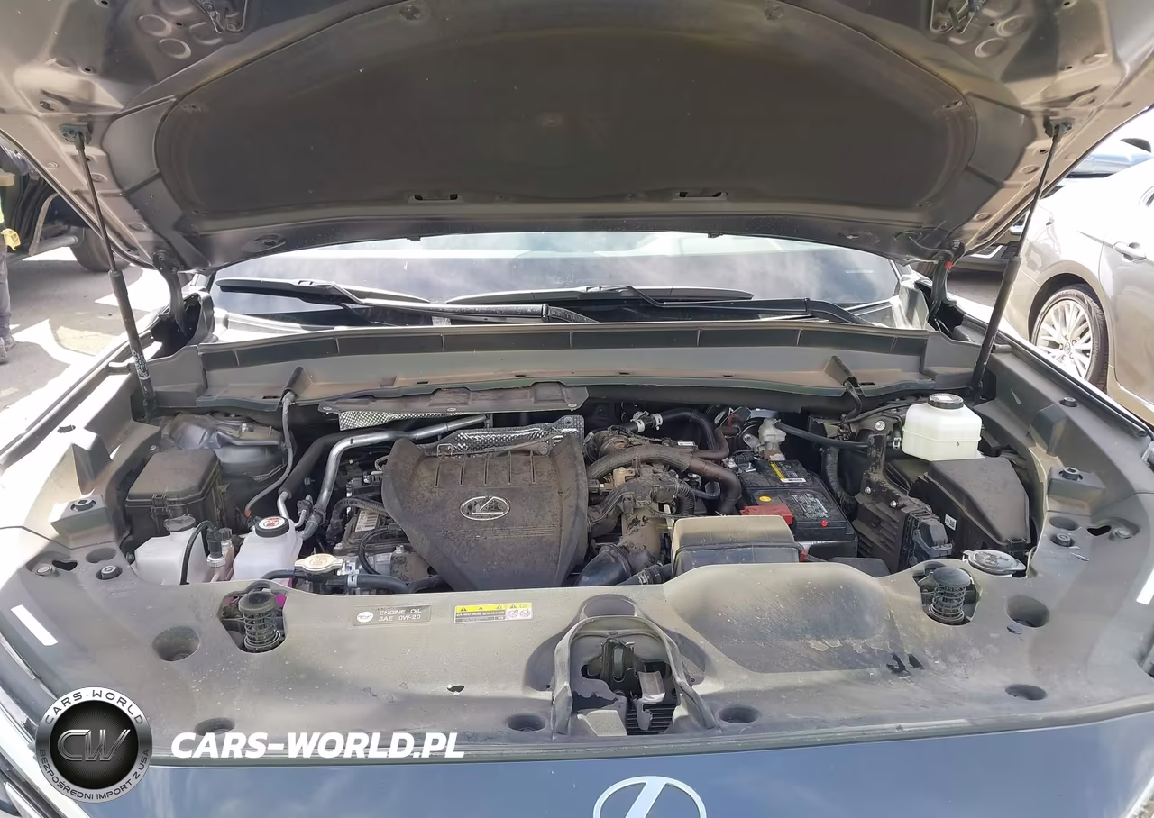 2025 Lexus Tx 350 Premium VIN:5TDAAAB63SS032093 - 10