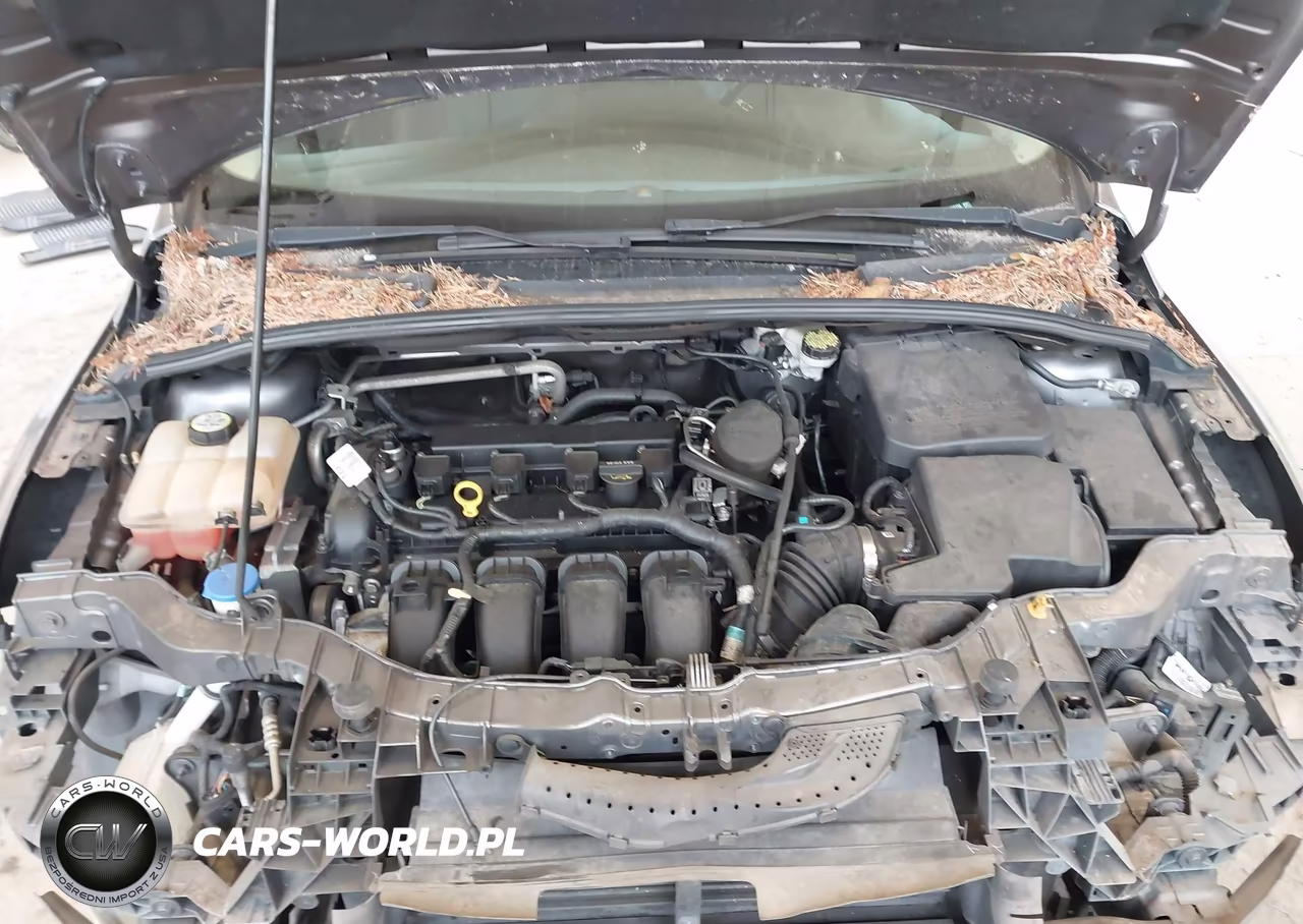 2012 Ford Focus Sel VIN:1FAHP3M25CL416338 - 10