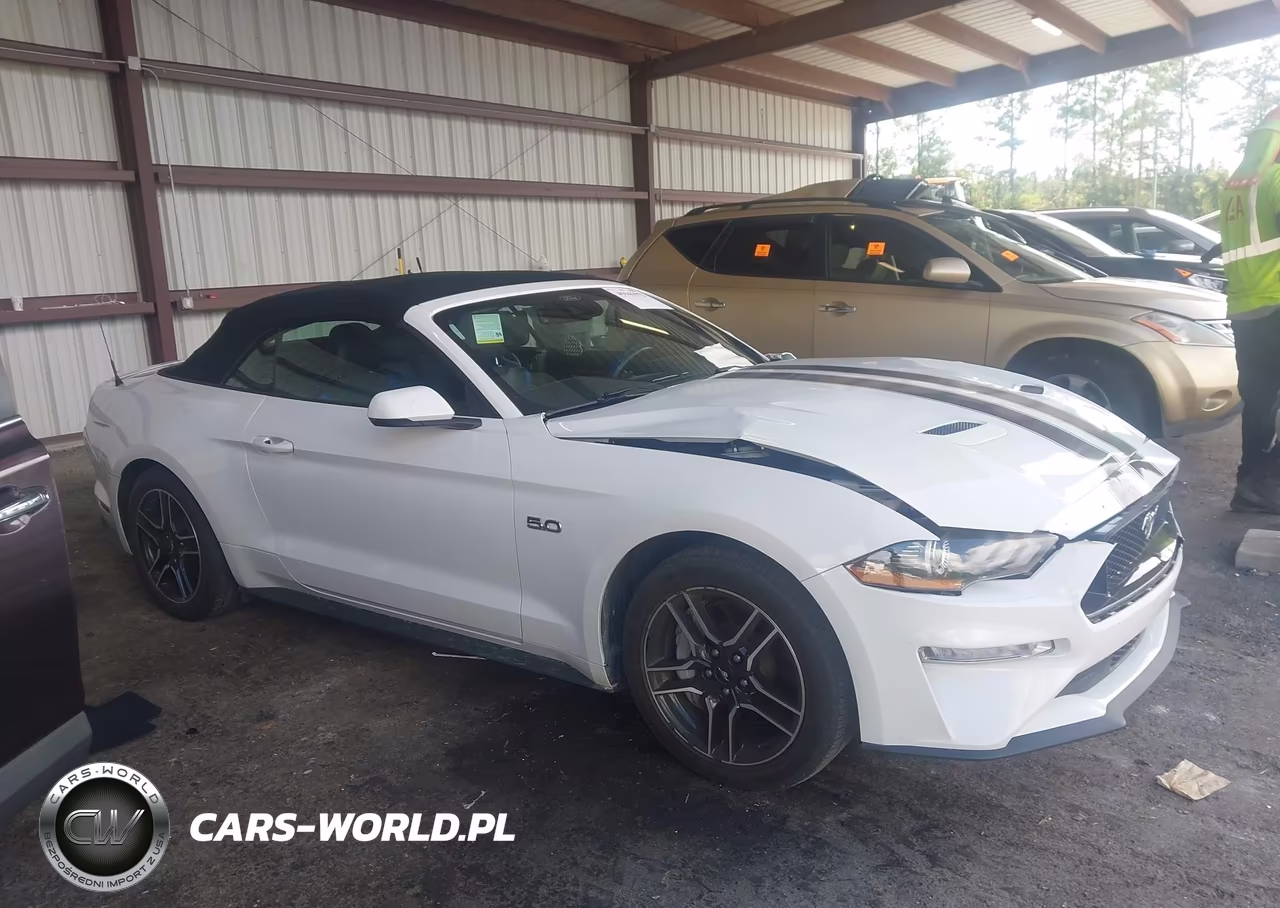 2021 Ford Mustang Gt Premium VIN:1FATP8FF5M5129563 - 13