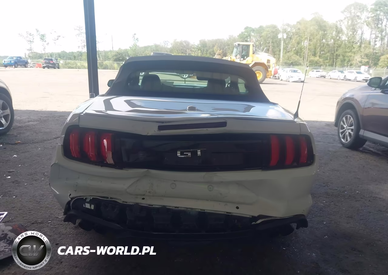 2021 Ford Mustang Gt Premium VIN:1FATP8FF5M5129563 - 16