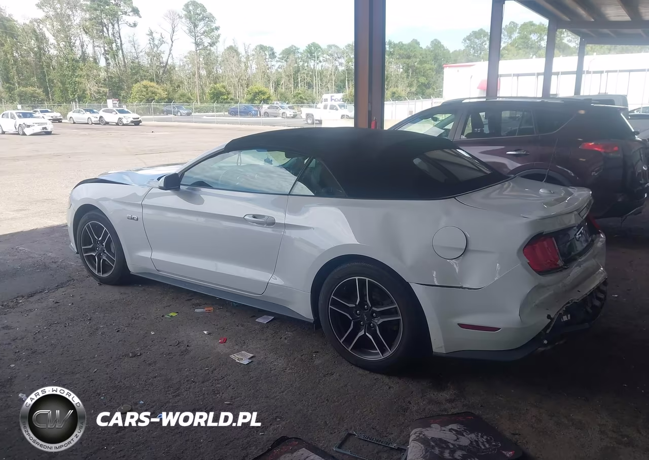 2021 Ford Mustang Gt Premium VIN:1FATP8FF5M5129563 - 3