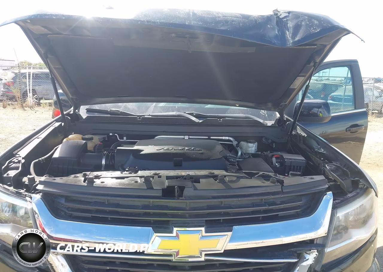 2019 Chevrolet Colorado Lt VIN:1GCGSCEN8K1162597 - 10