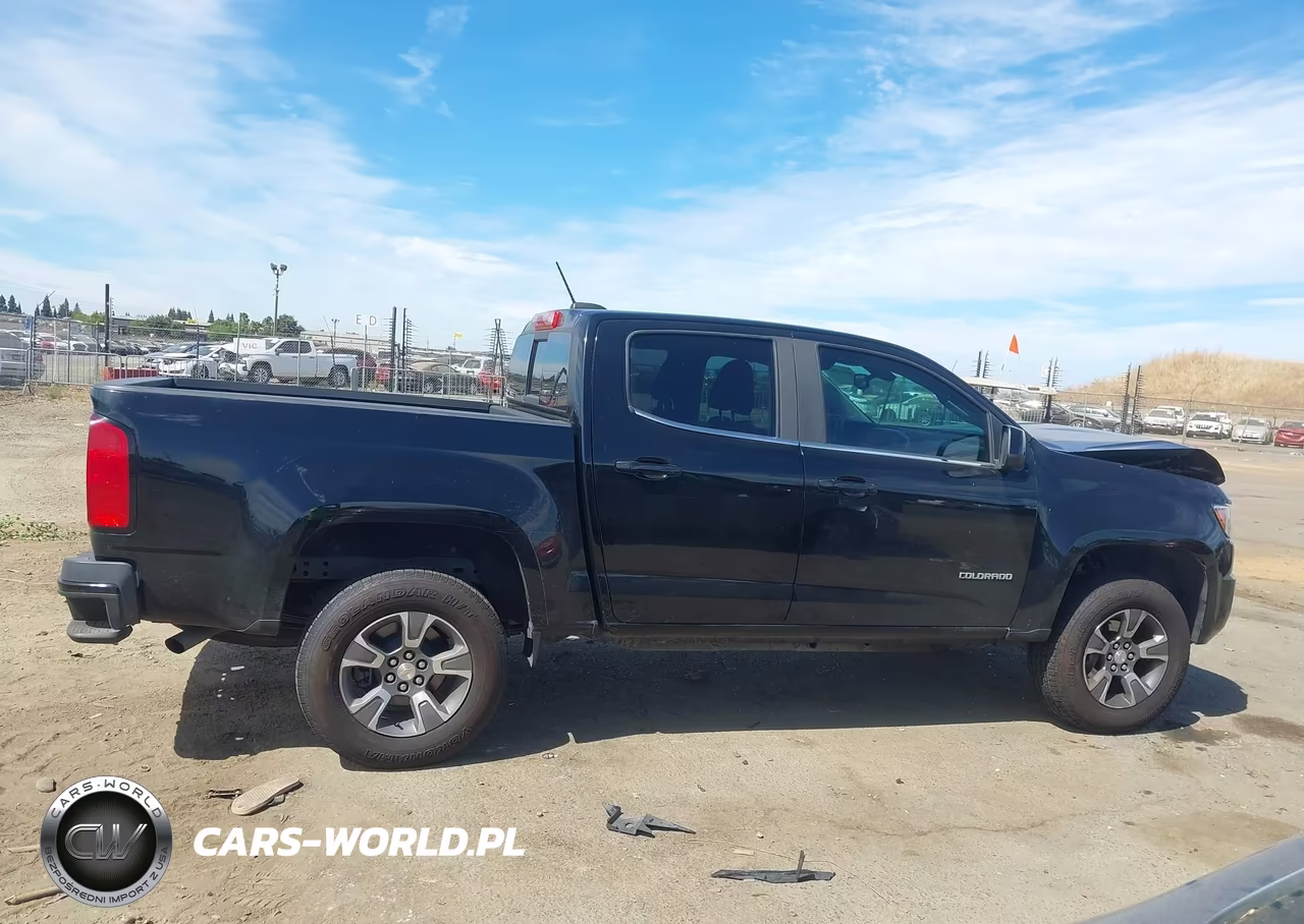 2019 Chevrolet Colorado Lt VIN:1GCGSCEN8K1162597 - 13