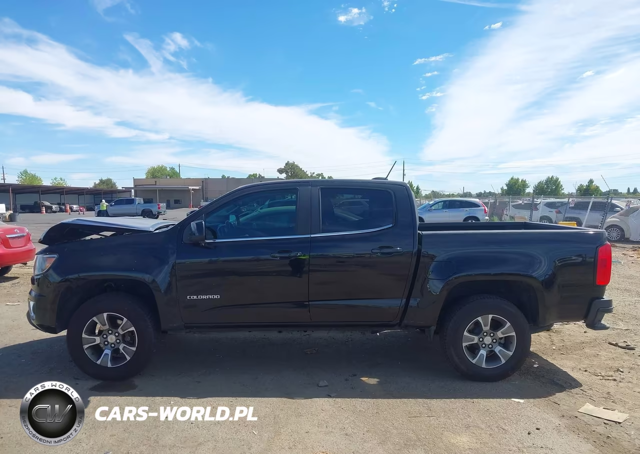 2019 Chevrolet Colorado Lt VIN:1GCGSCEN8K1162597 - 14