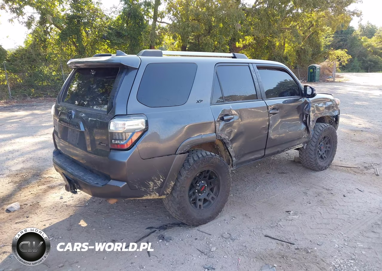2019 Toyota 4Runner Sr5 Premium VIN:JTEBU5JRXK5733617 - 4