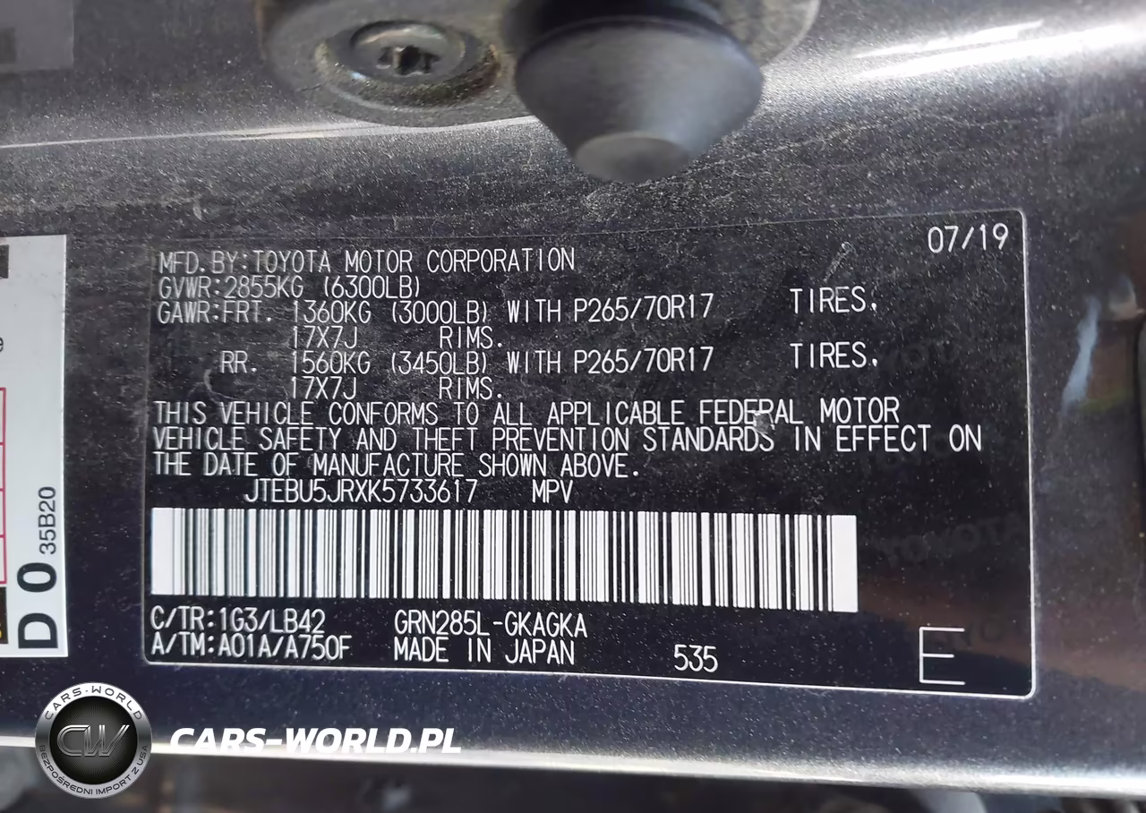 2019 Toyota 4Runner Sr5 Premium VIN:JTEBU5JRXK5733617 - 9