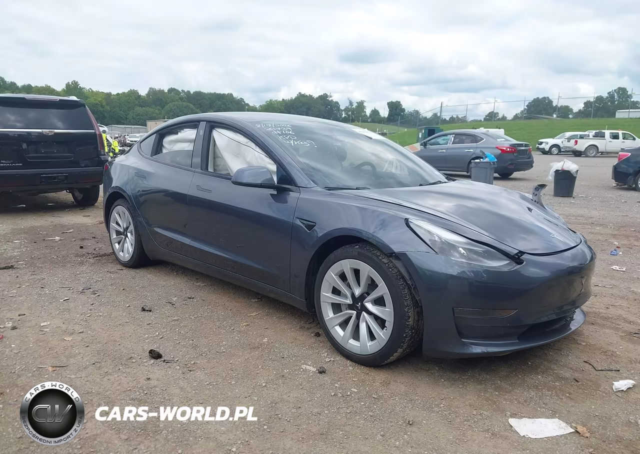 2023 Tesla Model 3 Rear-Wheel Drive