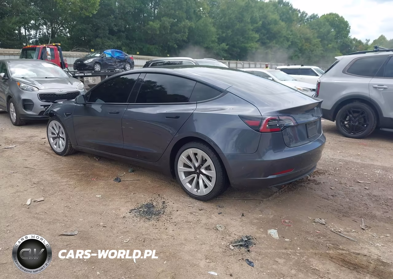 2023 Tesla Model 3 Rear-Wheel Drive VIN:5YJ3E1EA3PF428761 - 3