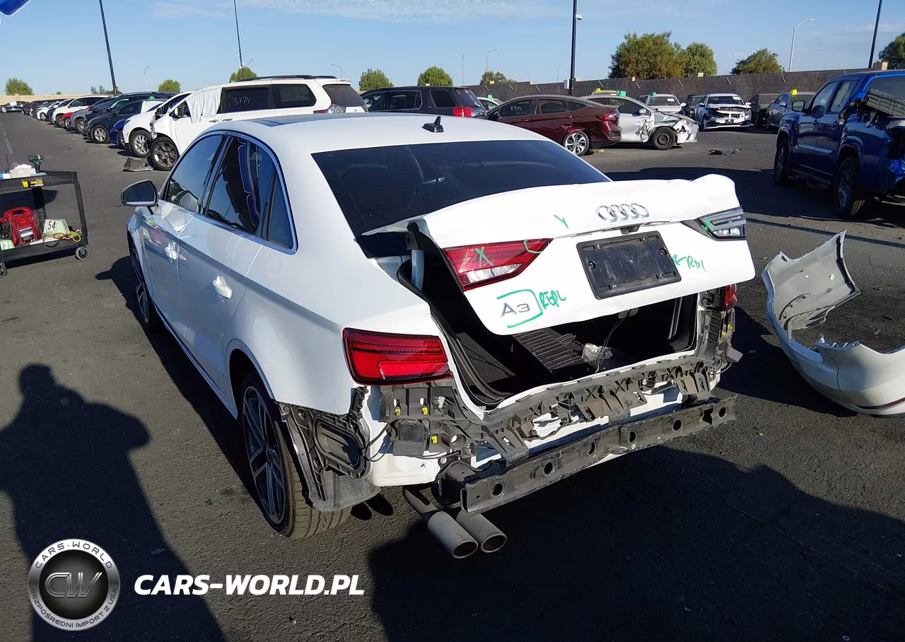 2019 Audi A3 40 Premium-40 Titanium Premium VIN:WAUAUGFF7K1020477 - 3