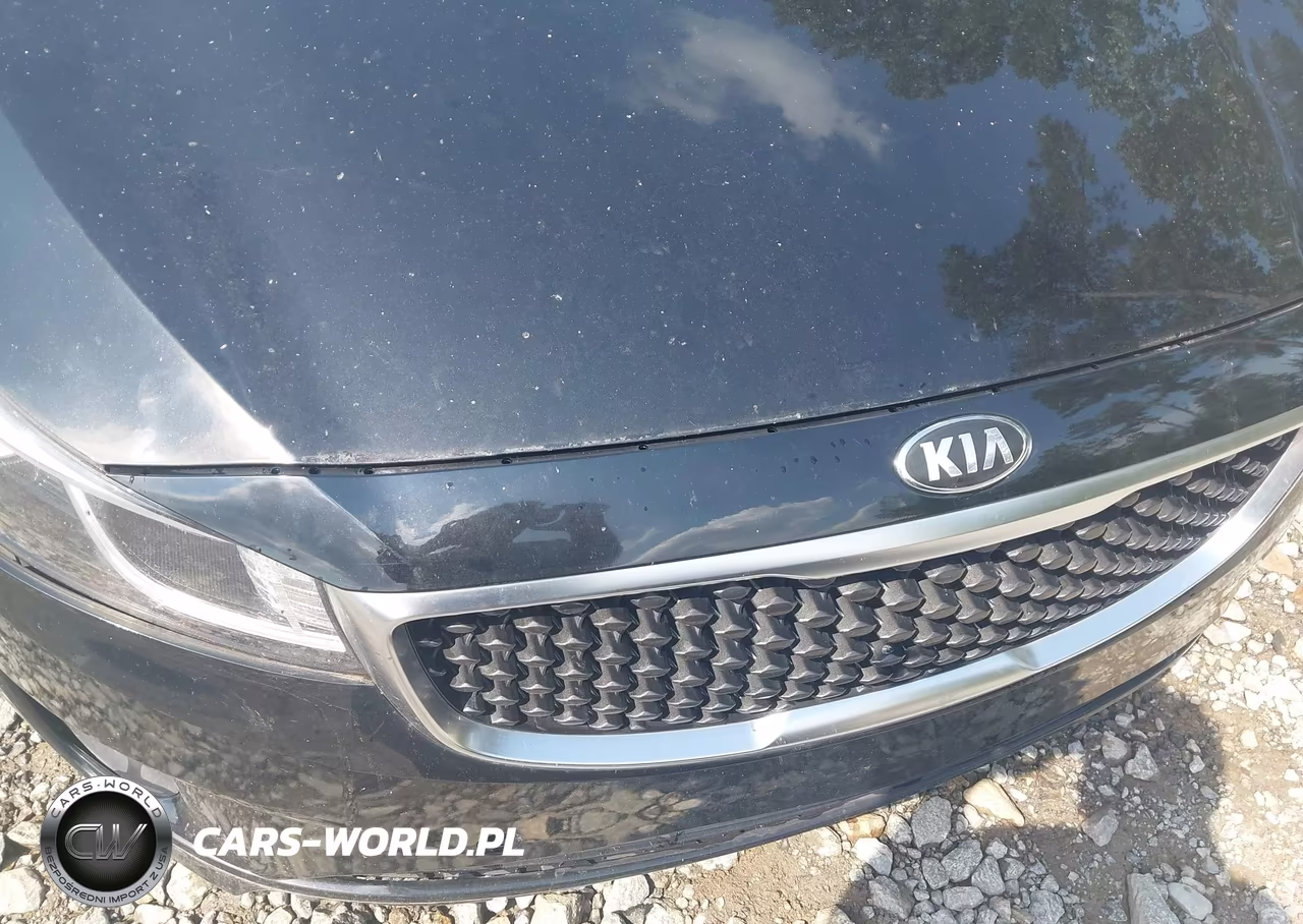 2016 Kia Sedona Lx VIN:KNDMB5C17G6205772 - 12