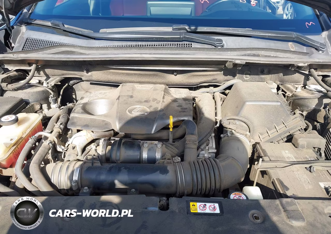 2019 Lexus Nx 300 F Sport VIN:JTJYARBZ4K2137415 - 10