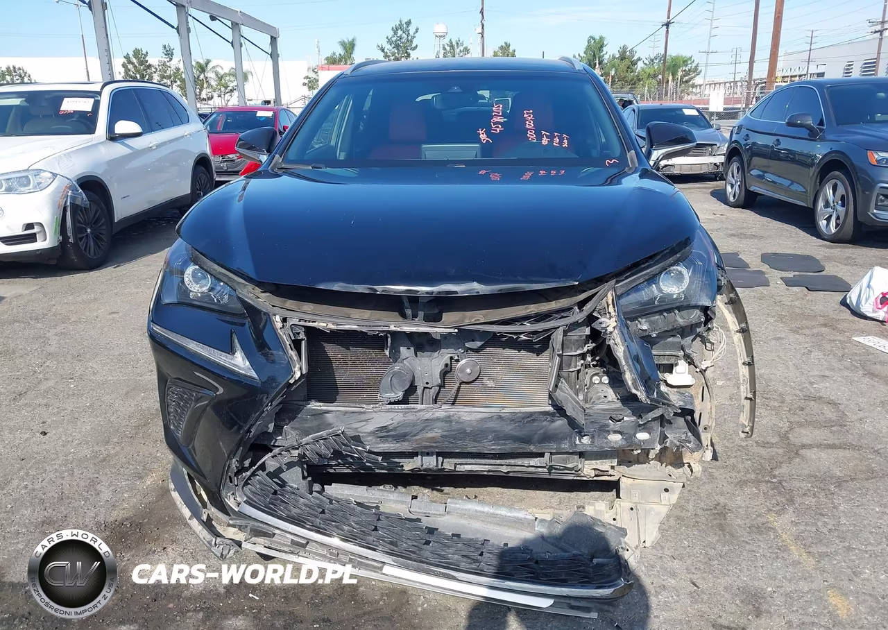 2019 Lexus Nx 300 F Sport VIN:JTJYARBZ4K2137415 - 12