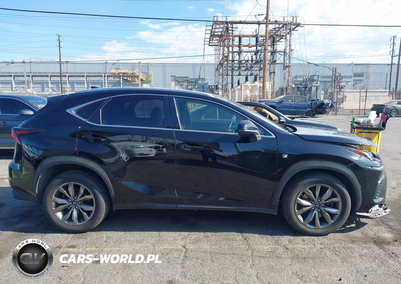 2019 Lexus Nx 300 F Sport VIN:JTJYARBZ4K2137415 - 13