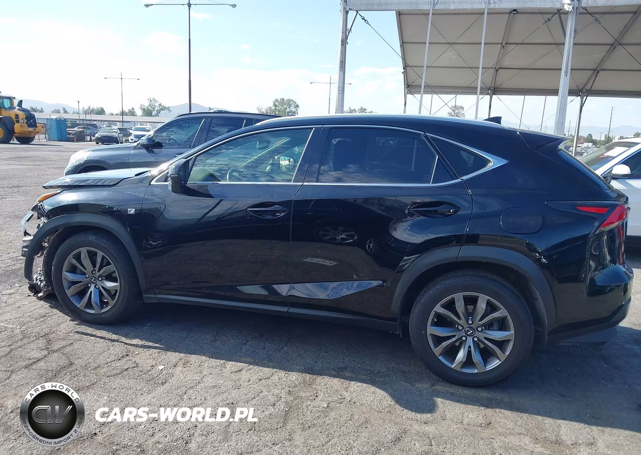 2019 Lexus Nx 300 F Sport VIN:JTJYARBZ4K2137415 - 14