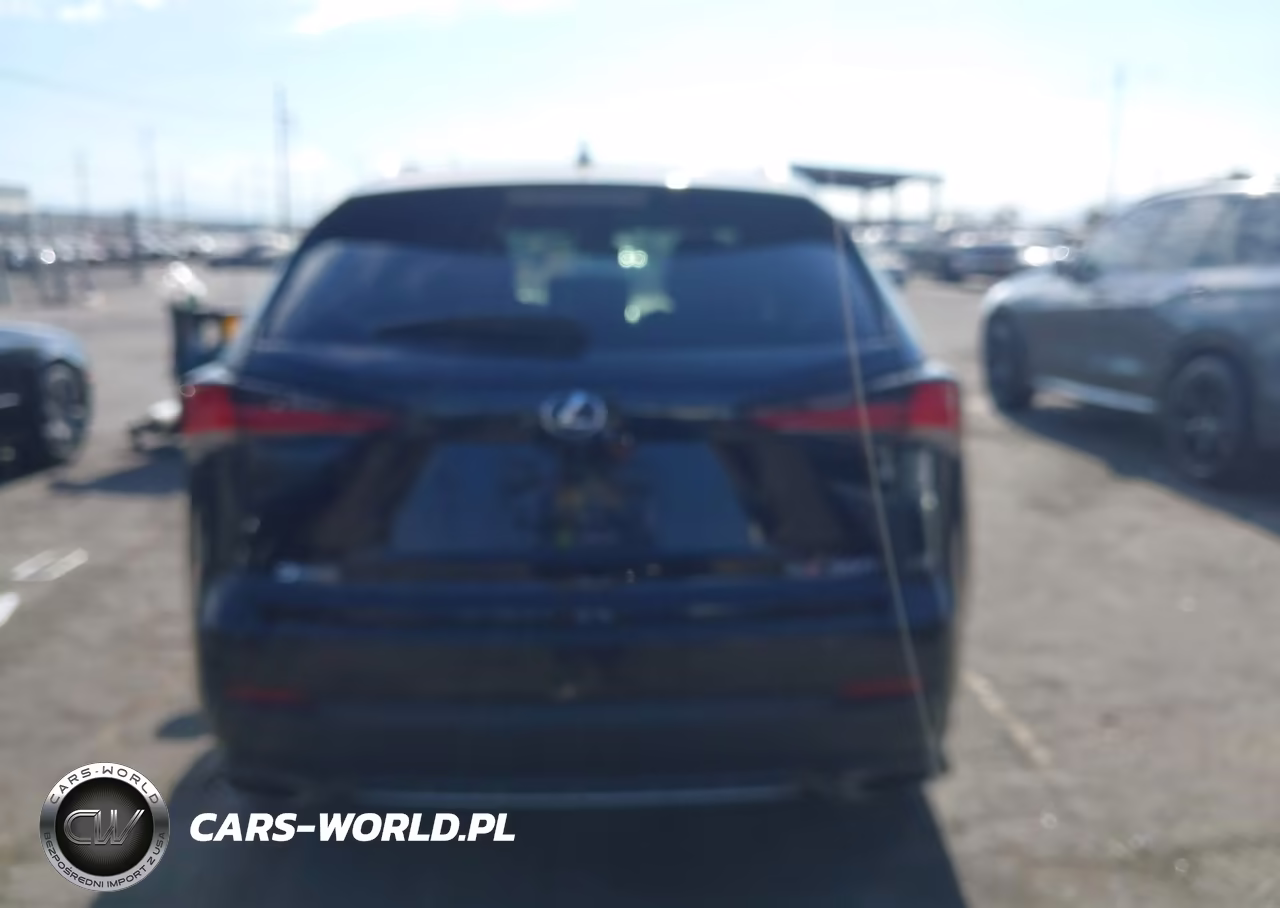 2019 Lexus Nx 300 F Sport VIN:JTJYARBZ4K2137415 - 16