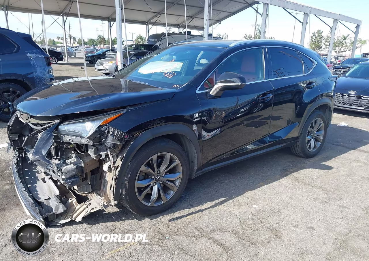 2019 Lexus Nx 300 F Sport VIN:JTJYARBZ4K2137415 - 2