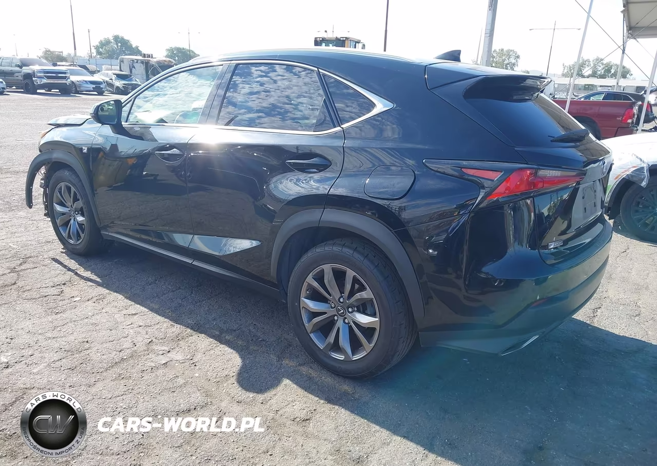 2019 Lexus Nx 300 F Sport VIN:JTJYARBZ4K2137415 - 3