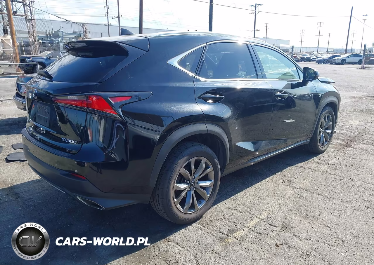 2019 Lexus Nx 300 F Sport VIN:JTJYARBZ4K2137415 - 4