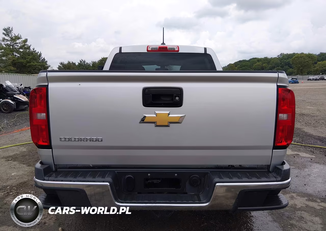 2016 Chevrolet Colorado 4Wd Wt VIN:1GCGTBE37G1244687 - 16