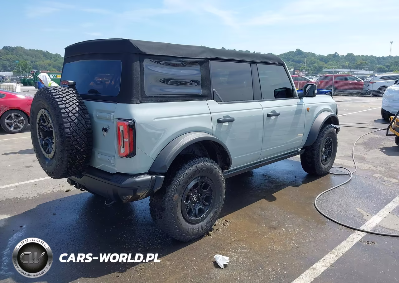 2021 Ford Bronco Badlands VIN:1FMEE5DH5MLB07419 - 4