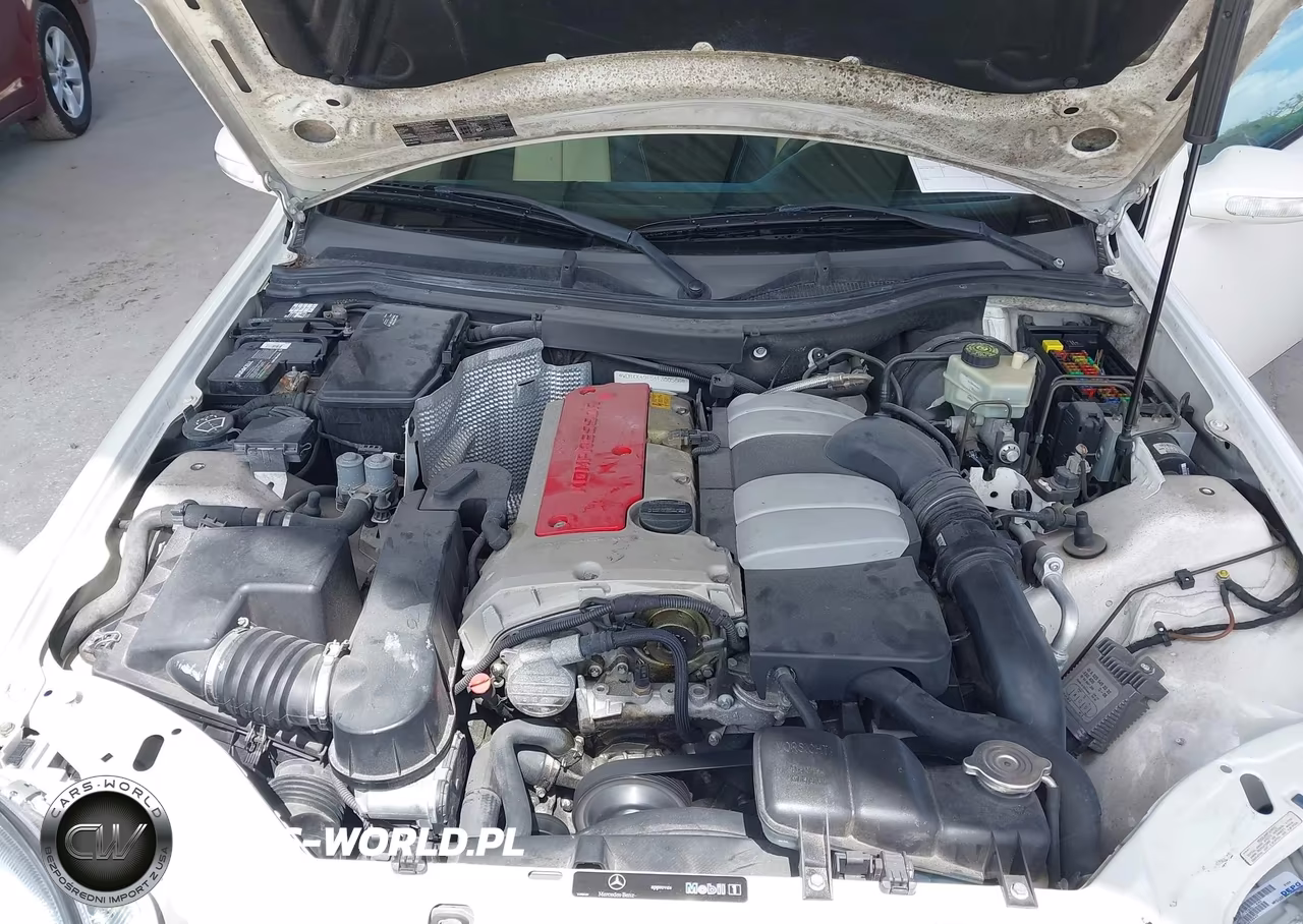 2004 Mercedes-Benz Slk 230 Kompressor VIN:WDBKK49F54F300586 - 10