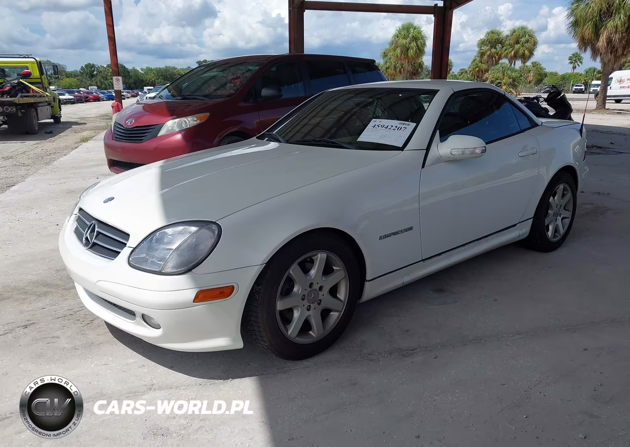 2004 Mercedes-Benz Slk 230 Kompressor VIN:WDBKK49F54F300586 - 2