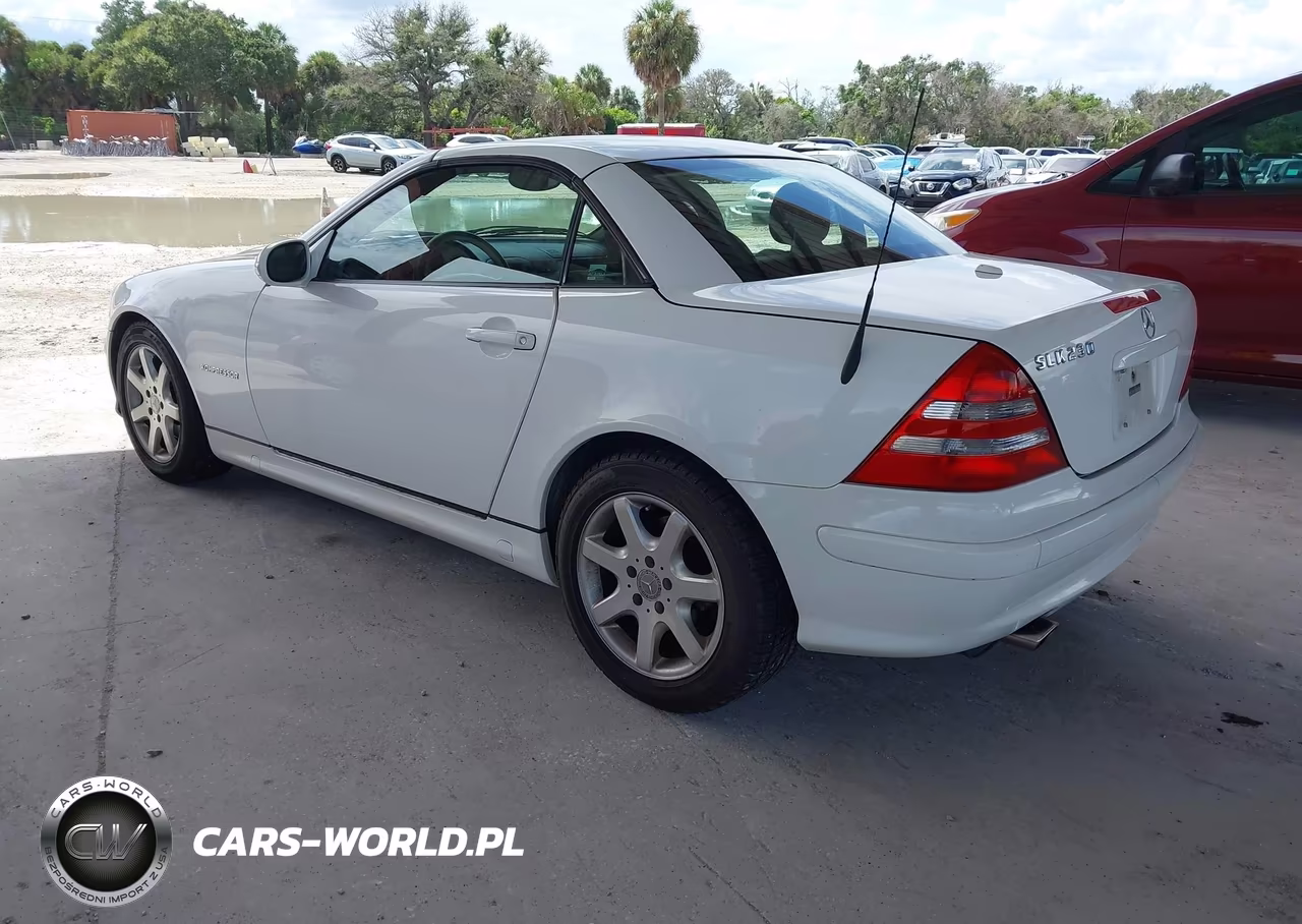 2004 Mercedes-Benz Slk 230 Kompressor VIN:WDBKK49F54F300586 - 3