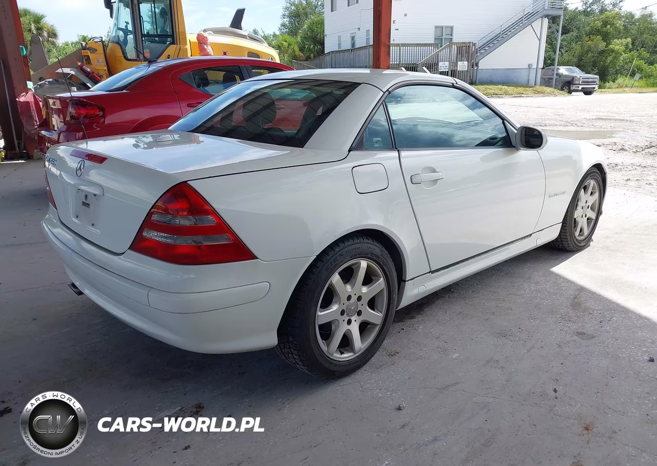 2004 Mercedes-Benz Slk 230 Kompressor VIN:WDBKK49F54F300586 - 4