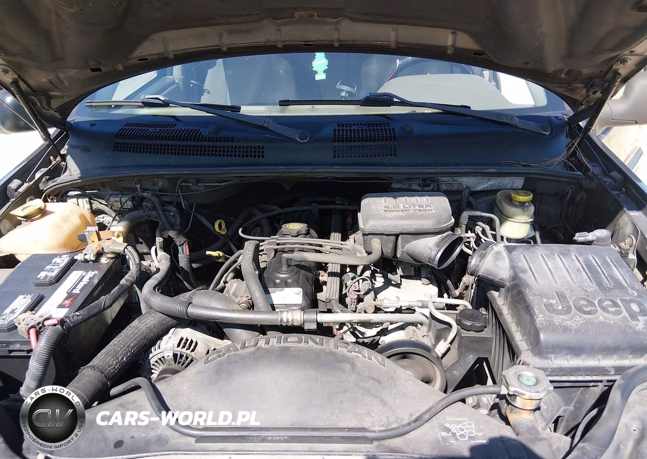 2004 Jeep Grand Cherokee Laredo VIN:1J4GW48S44C427092 - 10