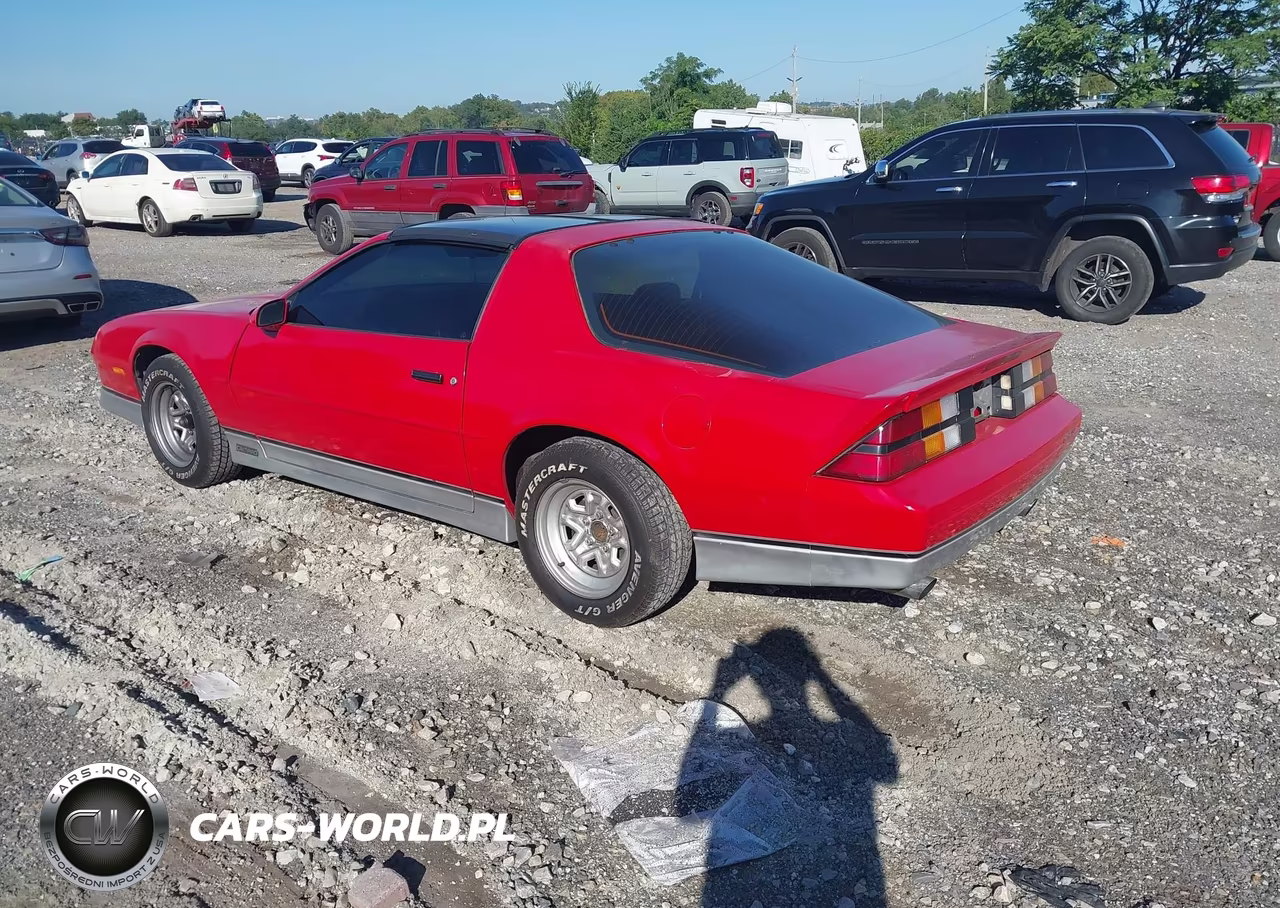 1988 Chevrolet Camaro VIN:1G1FP21E7JL195809 - 3