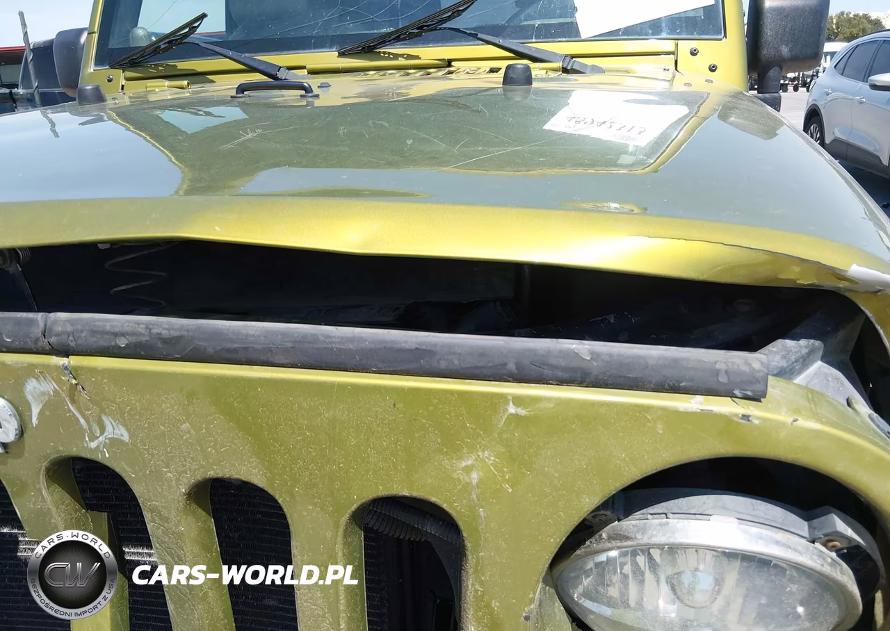 2008 Jeep Wrangler Sahara VIN:1J4FA54158L610231 - 17