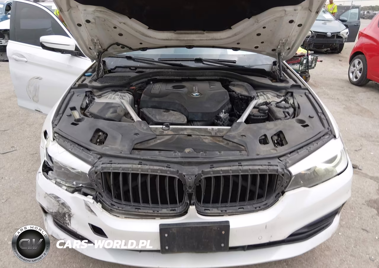 2019 BMW 530I VIN:WBAJA5C55KWW18546 - 10