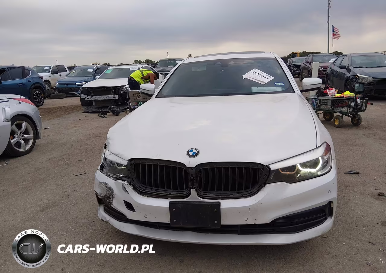 2019 BMW 530I VIN:WBAJA5C55KWW18546 - 12