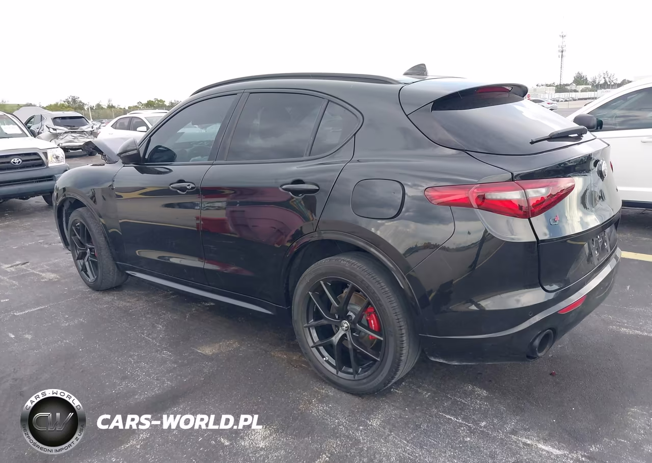 2020 Alfa Romeo Stelvio Ti Awd VIN:ZASPAKBN3L7C95730 - 3