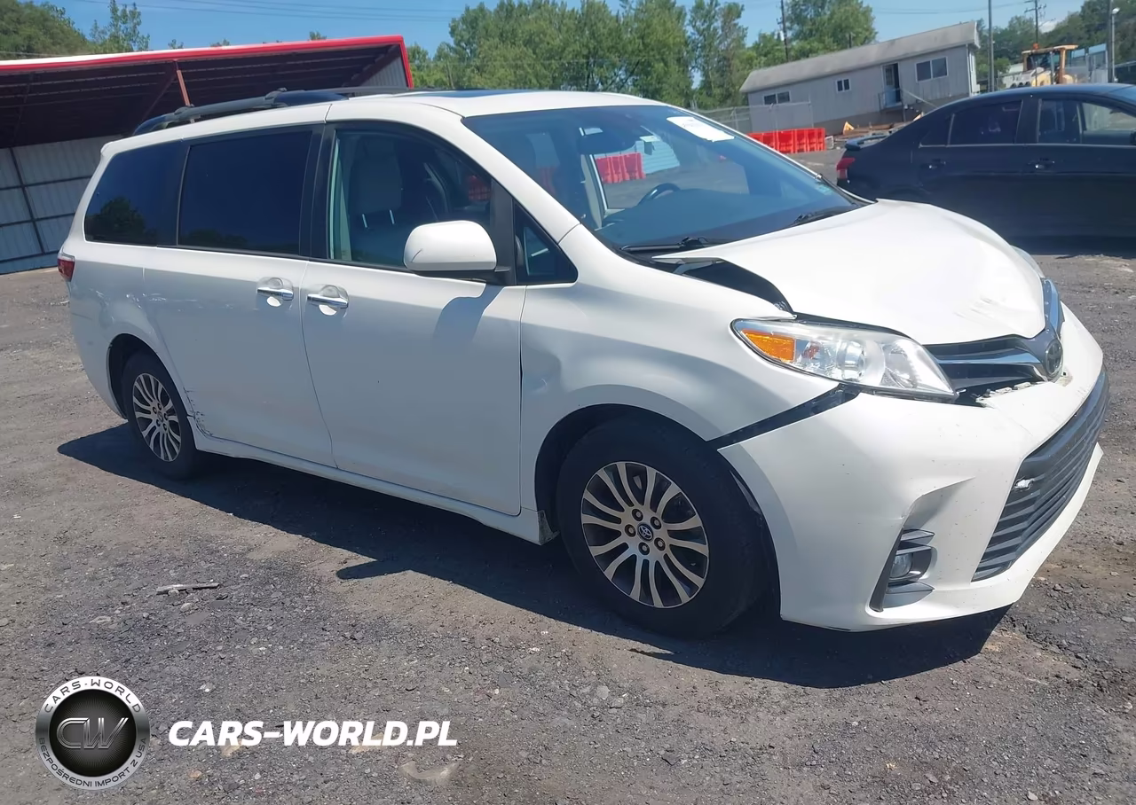 2019 Toyota Sienna Xle 8 Passenger VIN:5TDYZ3DC4KS976491 - 1